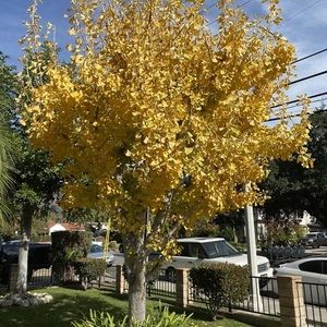 Meet your Posher, Su